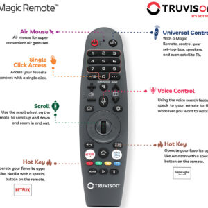 truevision_TLX-4320Q_remote