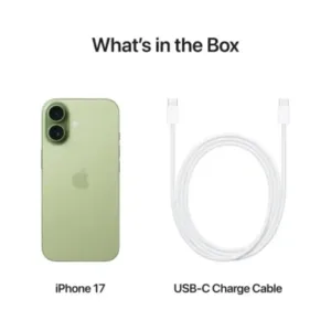 Apple iPhone 17 Sage Box