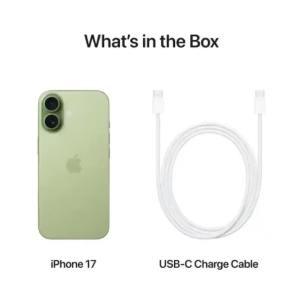 Apple iPhone 17 Sage Box
