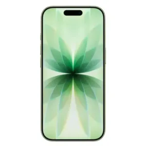 Apple iPhone 17 Sage Display
